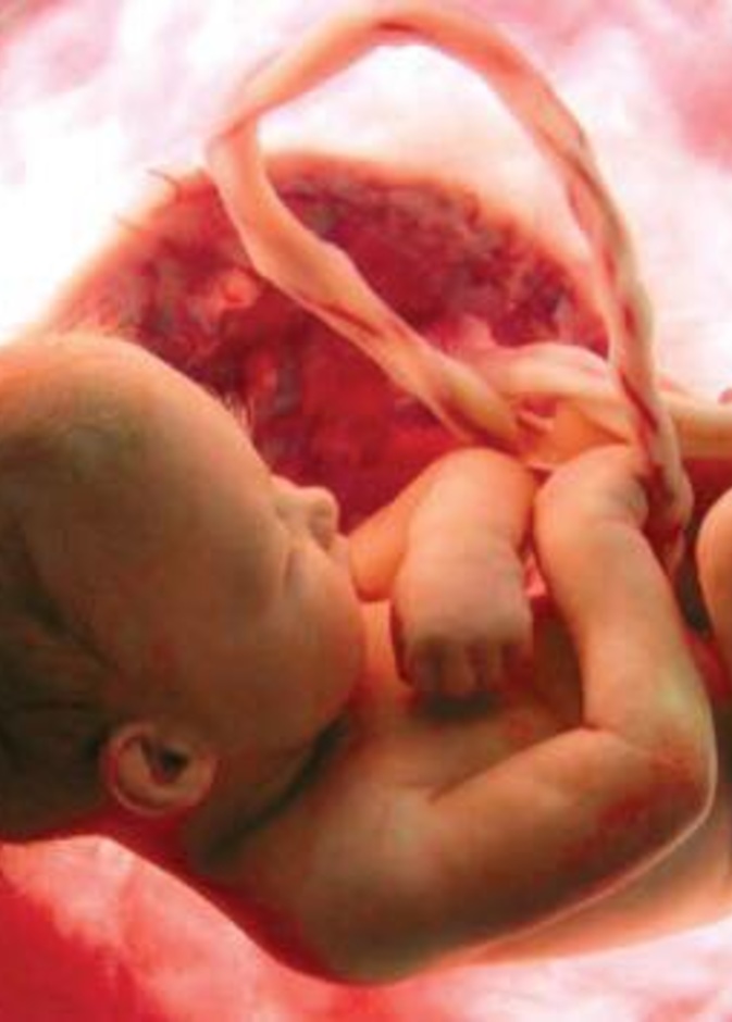 نصائح علمية لحماية الجنين من التشوهات الخلقية