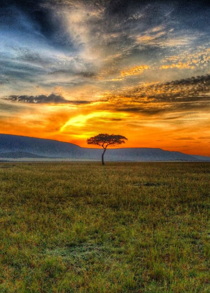 لعيش اسلوب الحياة البرية خلال شهر العسل في كينيا - Muthaiga Safari Camp مخيم موثايغا سفاري