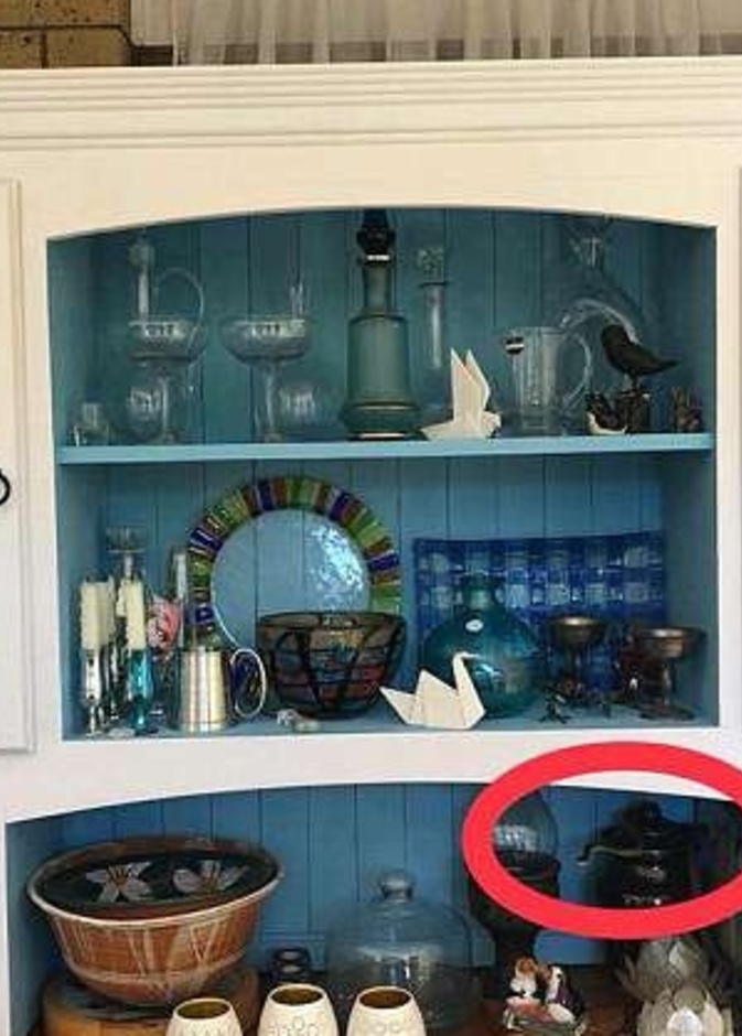 ثعبان يختفي ببراعة في دولاب أحد المنازل