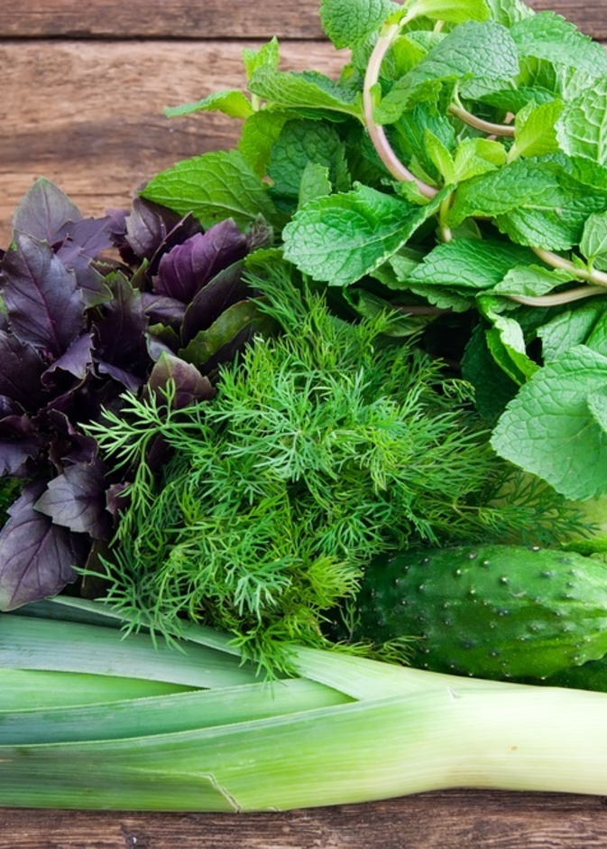 طريقة حفظ الخضروات الورقية بالثلاجة