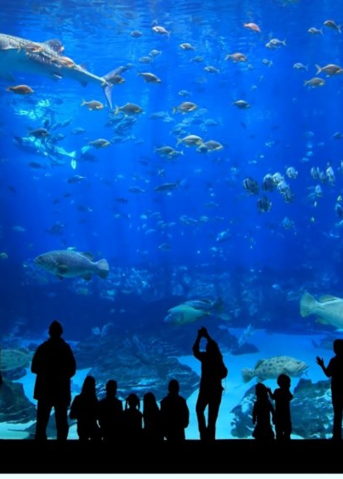 حديقة Polonezkoy Hayvanat Bahcesi 