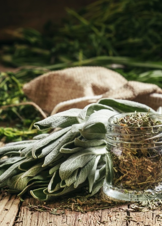 فوائد الميرمية للتنحيف