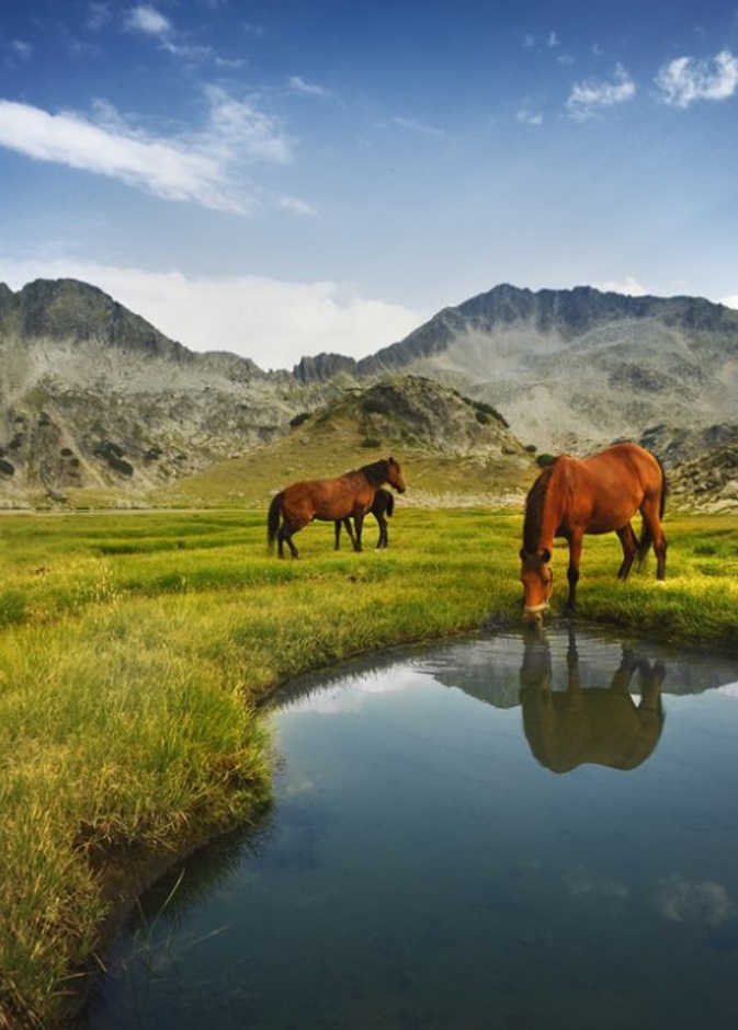  من مسرح بلوفديف الروماني.