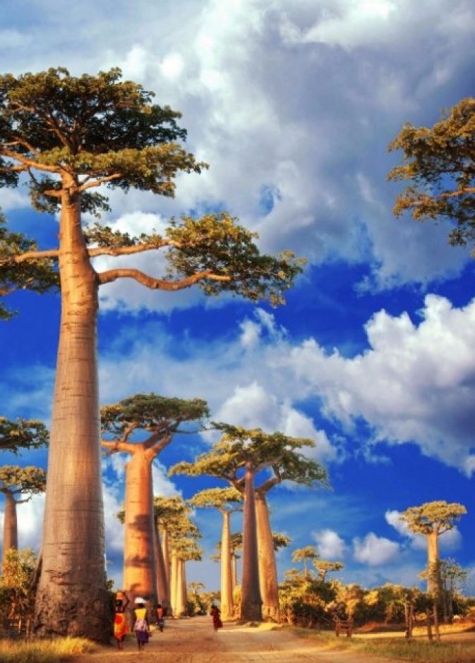 مدينة أنتاناناريفو عاصمة مدغشقر