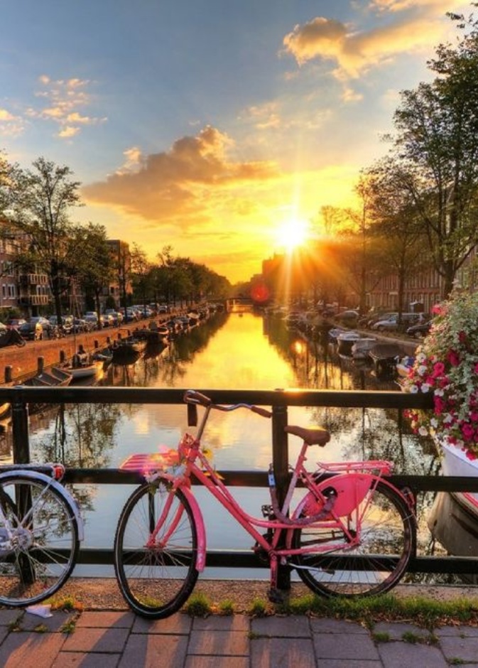 روتردام هولندا ح افضل اماكن سياحية لشهر العسل