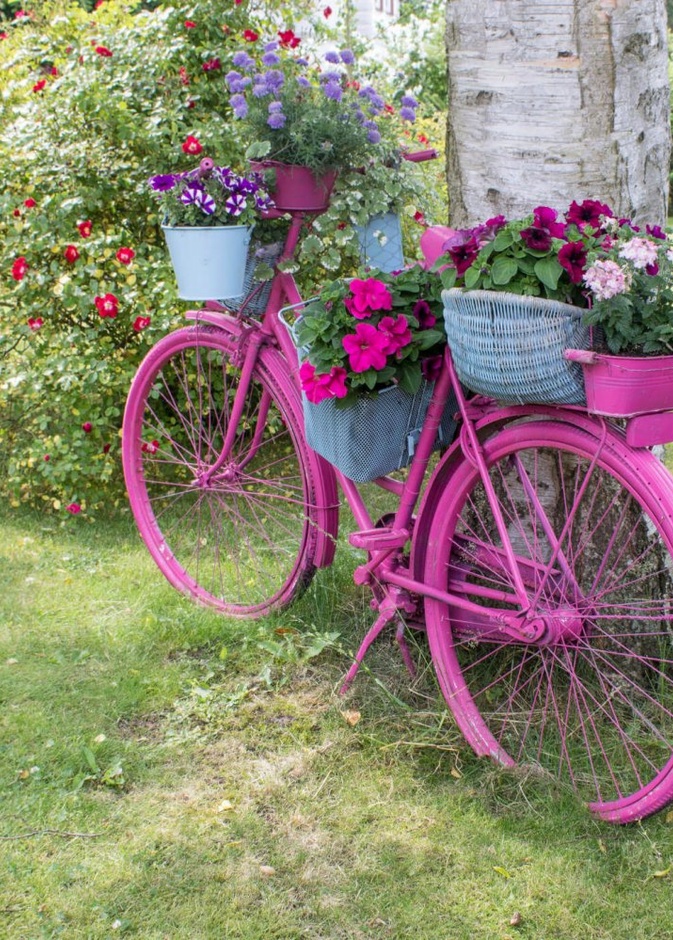 ديكور حديقة منزلية من أحواض النباتات