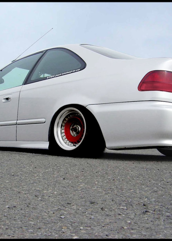 من غير القانوني ربط الكلب على سقف السيارة