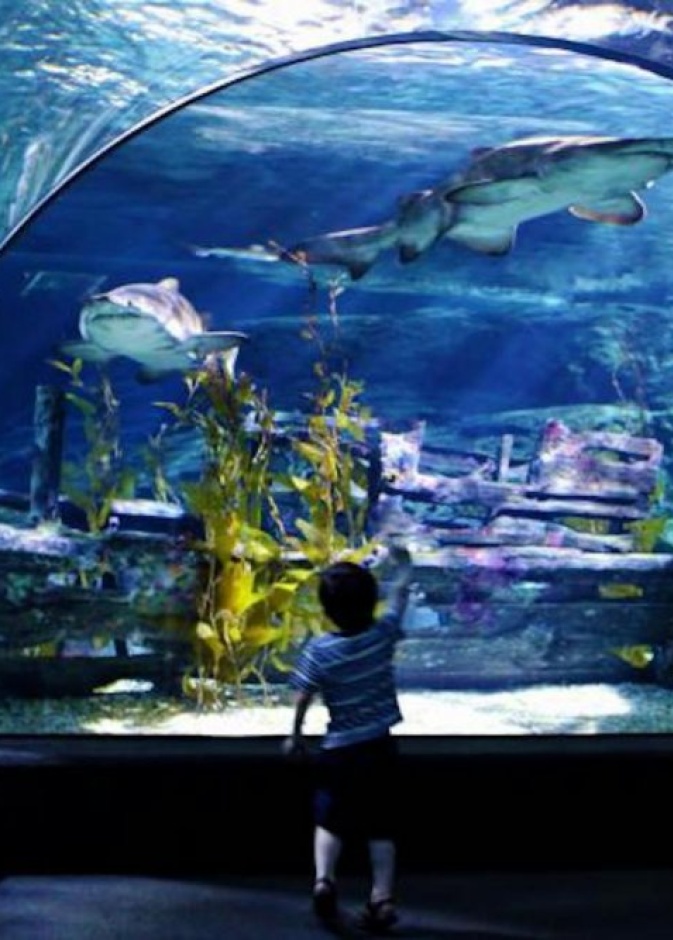 مركز تسوق The Commons