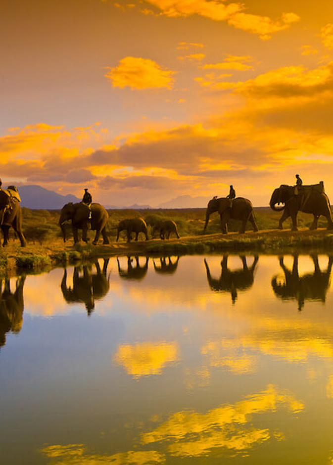 من دراكسنبرغ