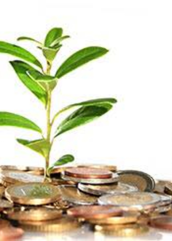 اخراج زكاة الفطر في رمضان