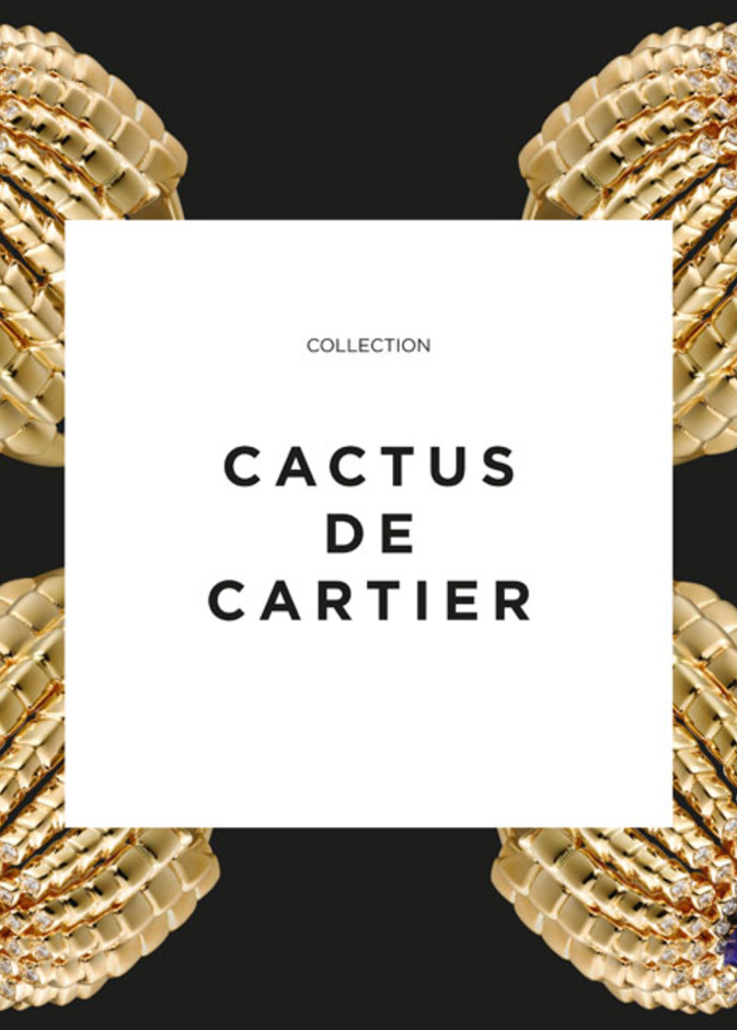 سوار ’كاكتوس دو كارتييه‘