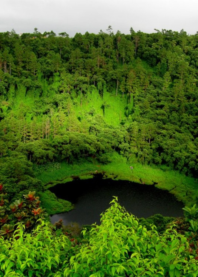 شاطيءIle Aux Cerfs