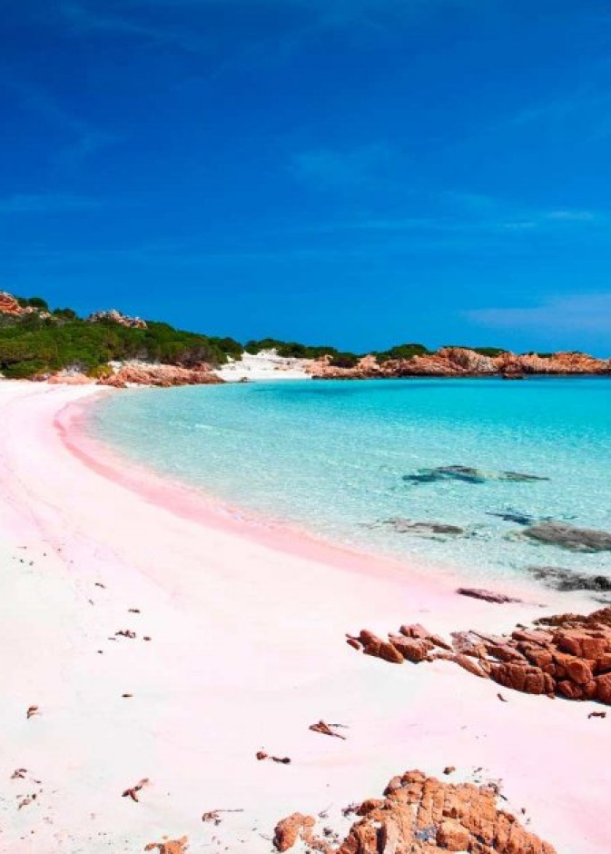 من Pink Sand Beach