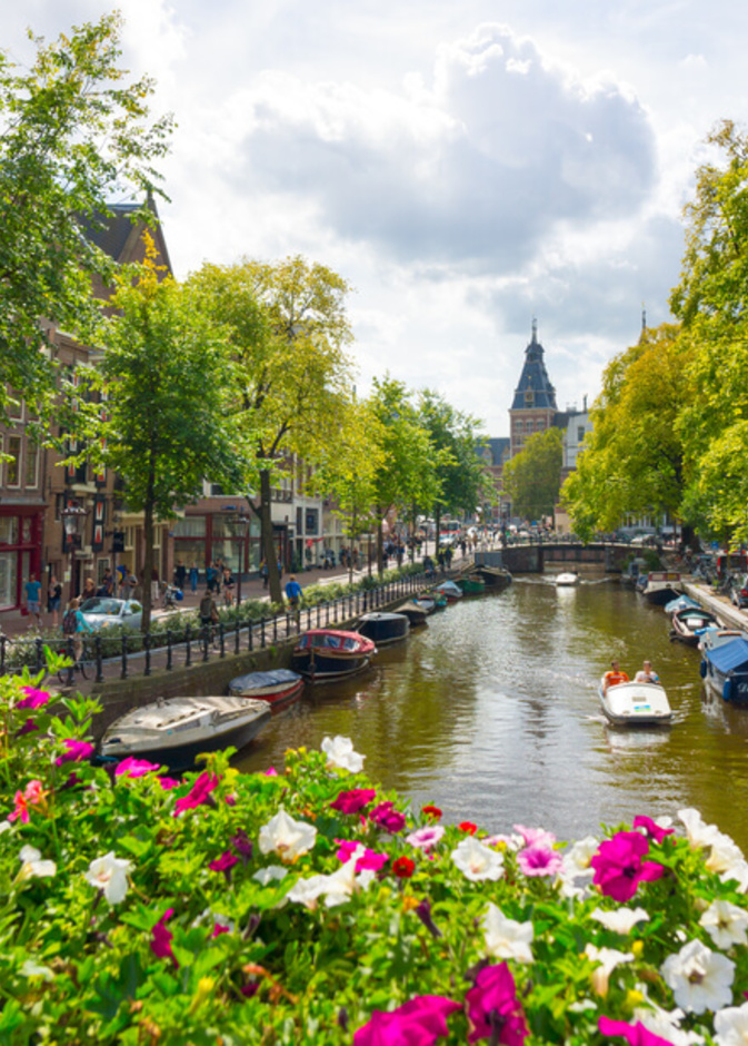 مشهد من روتردام