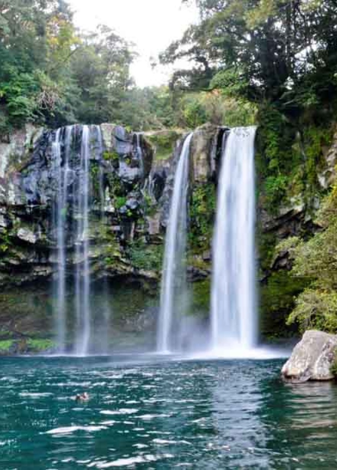 شهر العسل في جيجو كوريا الجنوبية