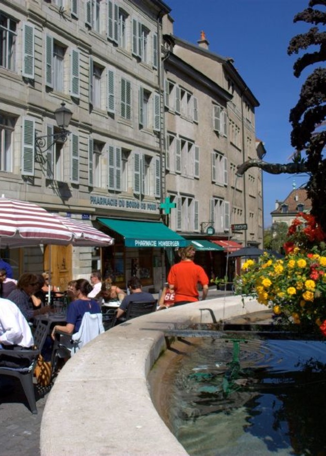 روعة الزهور في الحديقة الإنجليزية