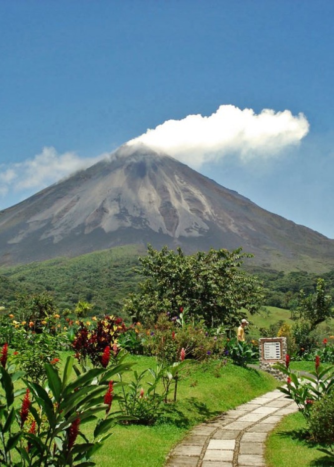 محمية غابة مونتفردي المغيمة في وسط كوستاريكا