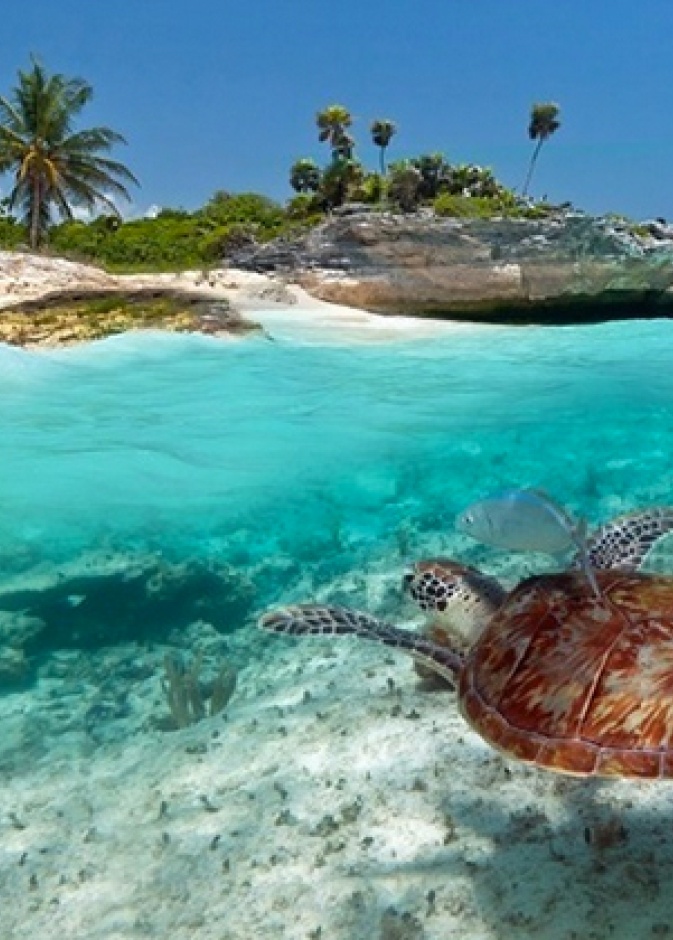 من سالزبورغ