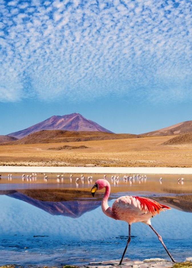  تعلم عدد من العبارات والكلمات الأساسية الهامة باللغة الإسبانية