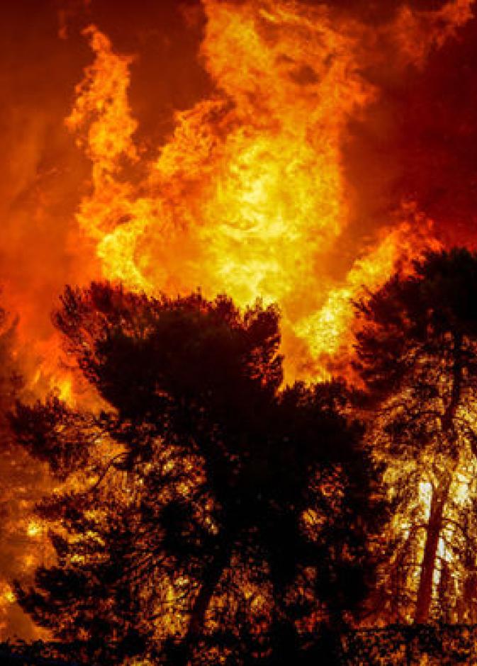 مشاهدة مؤلمة من حرائق الغابات في اليونان