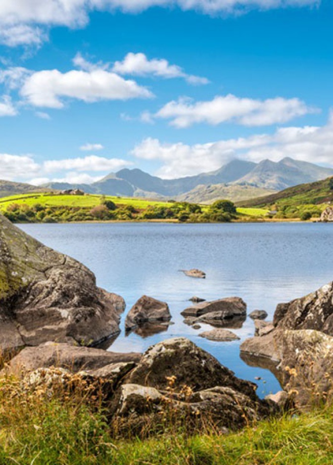 تقدم كويلز نشاطات لا تعد ولا تحصى