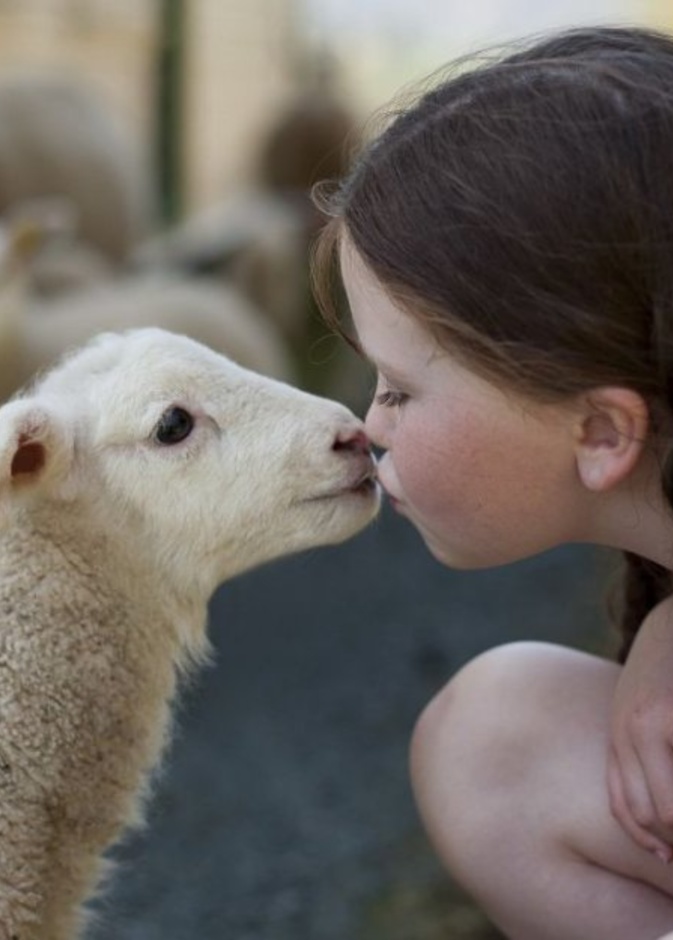 ما هو السن المناسب للأطفال لرؤية ذبح الأضحية