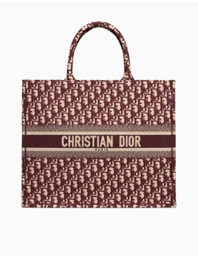 حقيبة من Dior