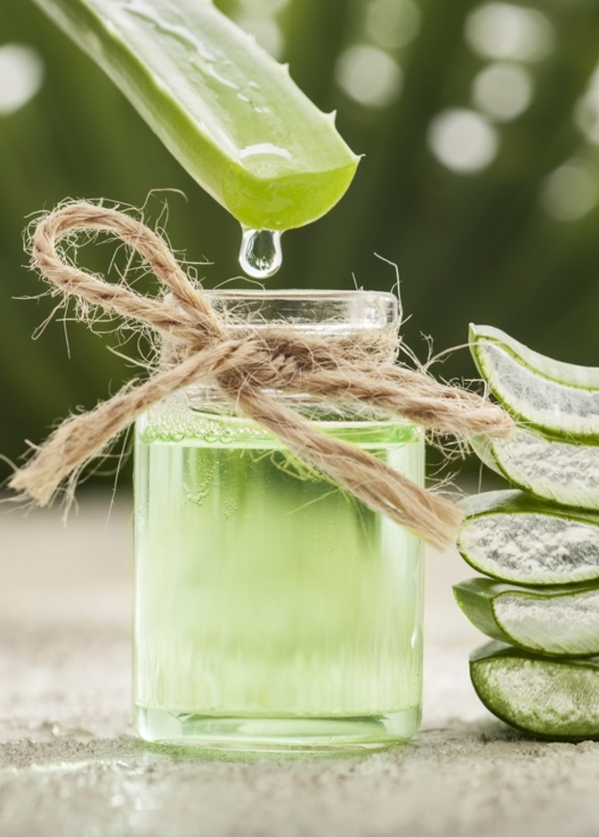 فوائد الالوفيرا للتنحيف وانقاص الوزن