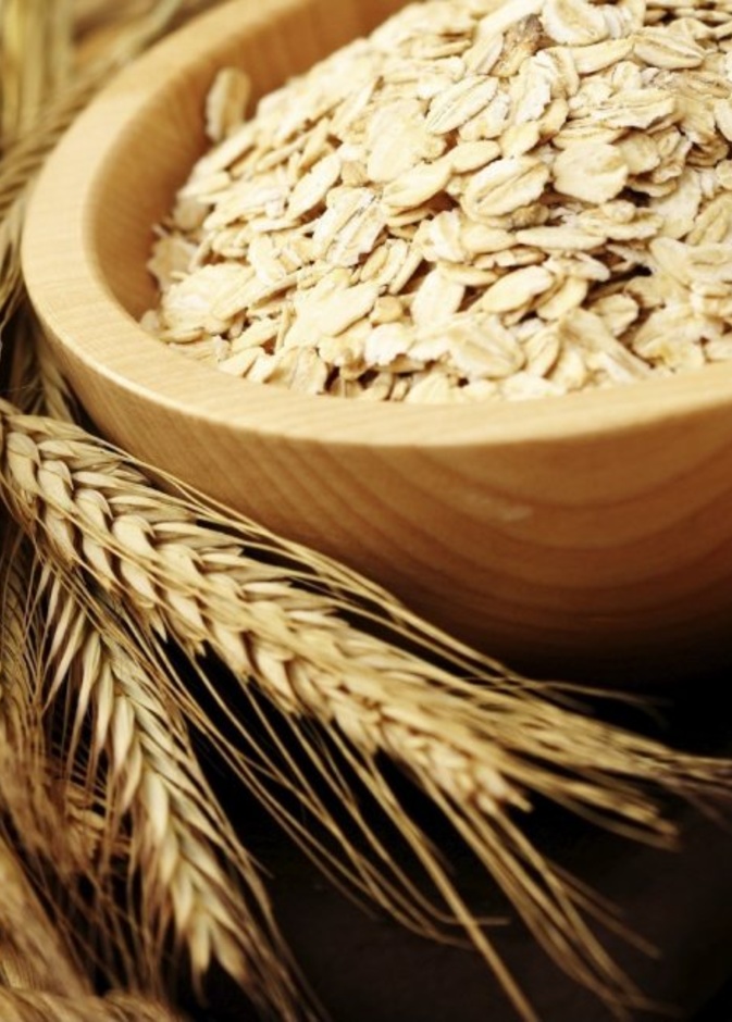 فوائد الشوفان لانقاص الوزن وتقليل نسب الكوليسترول