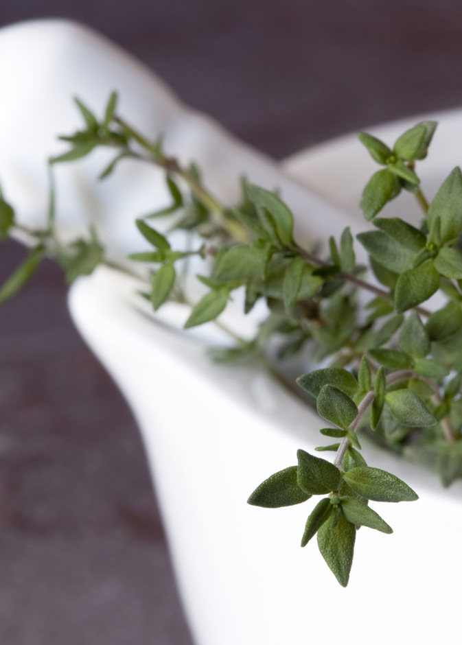 يفيد مغلي الزعتر في إنقاص الوزن و اذابة الدهون