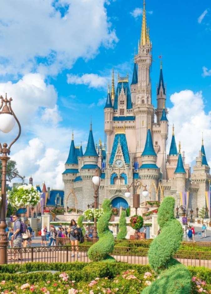  إيفرجلادز Everglades