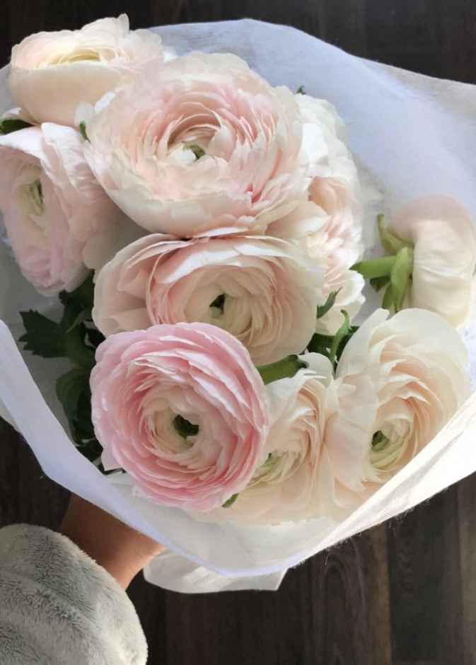 ورد الحوذان