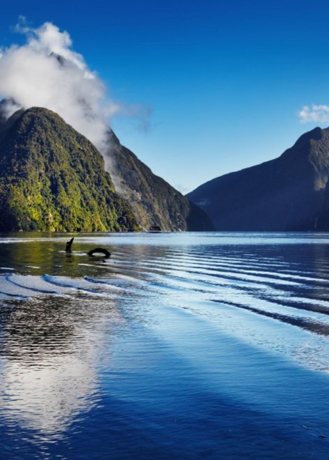 لا يمكن مقاومة متعة الرحلة في نيوزيلندا