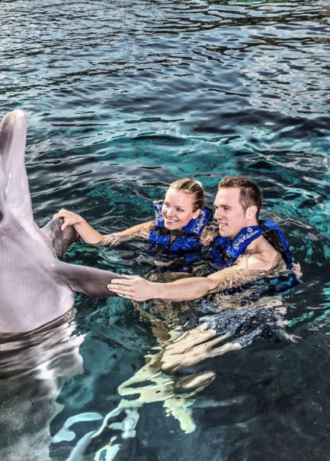 للسباحة مع الحيتان متعة لاتوصف خلال شهر العسل