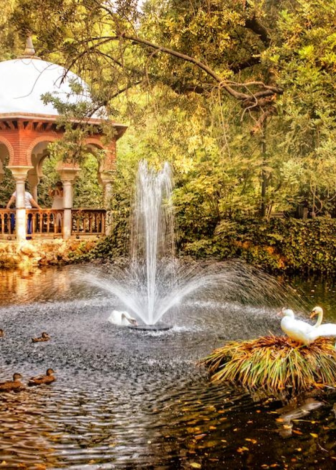 مدينة نوفوسيبيرسك