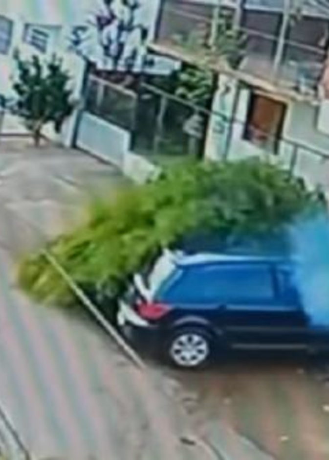 نجاة راكب دراجة من موت محقق في حادث مروع