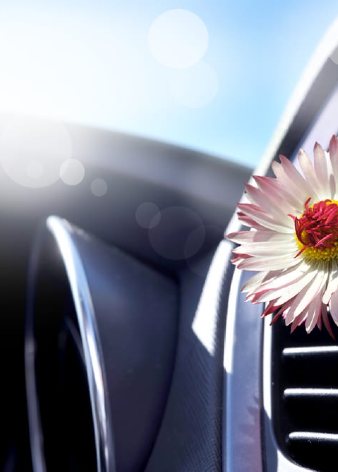 رائحة السيارة السيئة