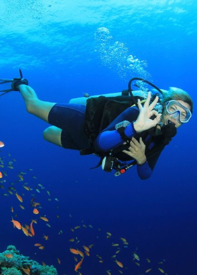 جزيرة دافاو في الفيليبين