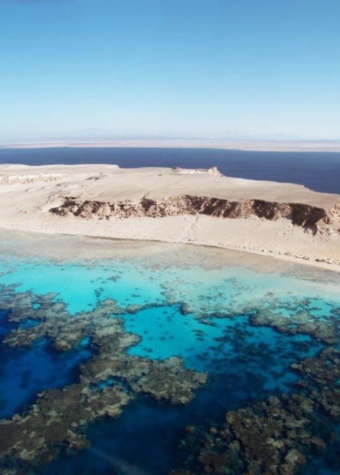 الطبيعة الساحرة في أمالا