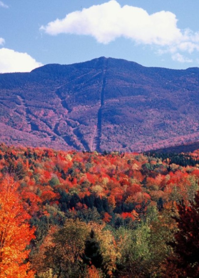 من ألباكركي في المكسيك