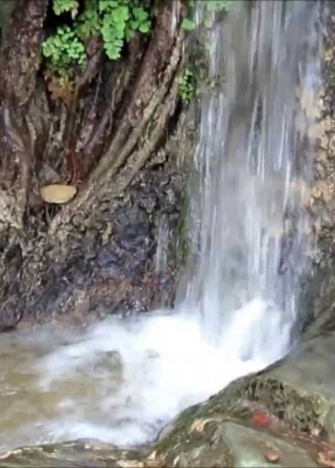 تميزت قرية ذي عين بعيونها العذبة