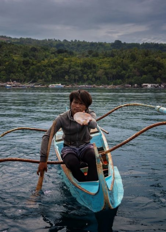 جمالية منتجع بيرل فارم بيتش