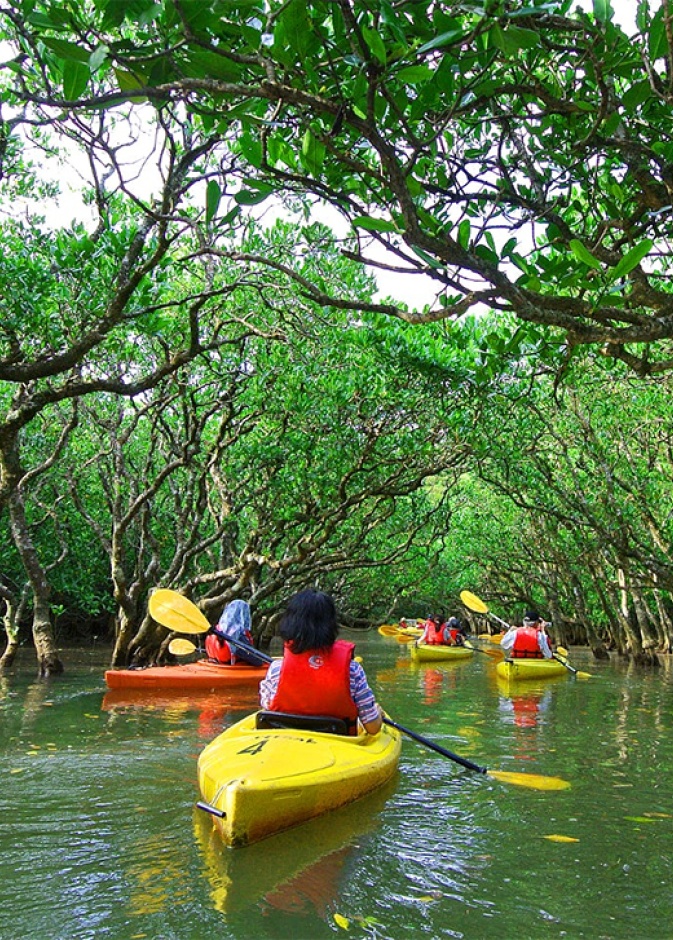 افضل جولات تجديف الكاياك في أبوظبي