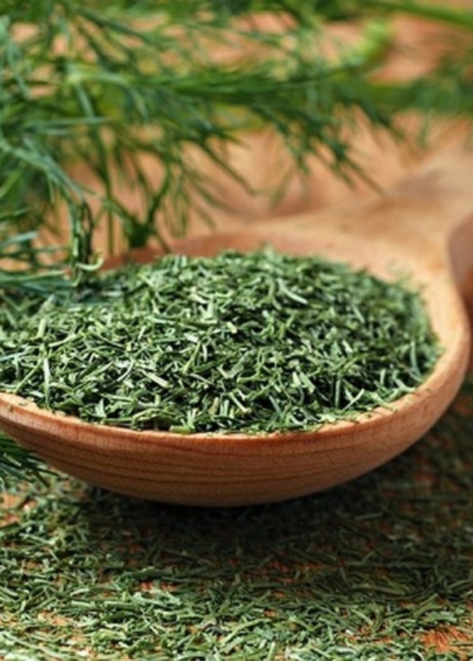 فوائد الشبت لإنقاص الوزن