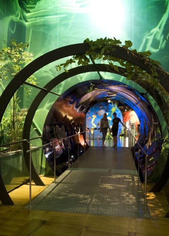 الحديقة الانجليزيةEnglischer Garten