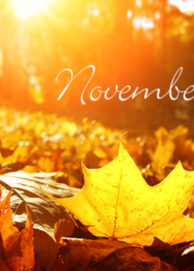 توقّعات الأبراج لشهر نوفمبر 2018