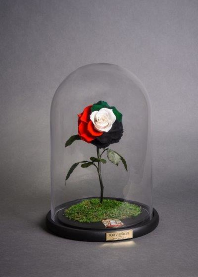 فوريفر روز تقدم تصاميم ورود خاصة بمناسبة اليوم الوطني الإماراتي