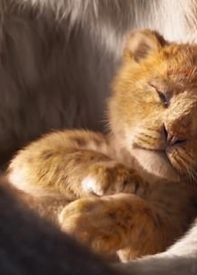 the lion king