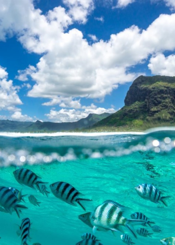 بورت لويس العاصمة