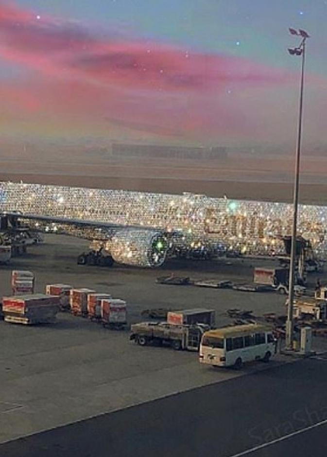 صورة طائرة إماراتية مغطاة بالماس تشعل مواقع التواصل الاجتماعي